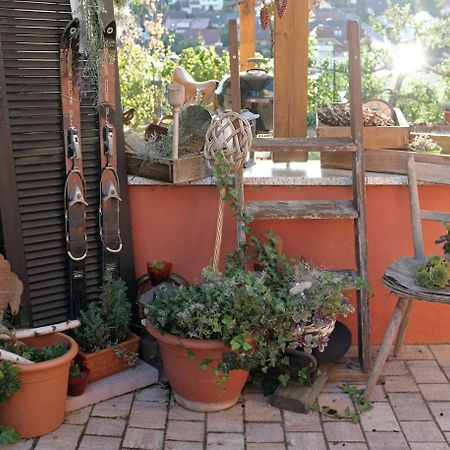 Ferienwohnung Im Paradies Momlingen Екстер'єр фото